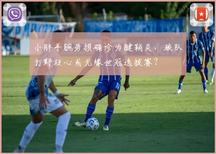 小胖手腕劳损确诊为腱鞘炎,狼队打野核心或无缘世冠选拔赛?