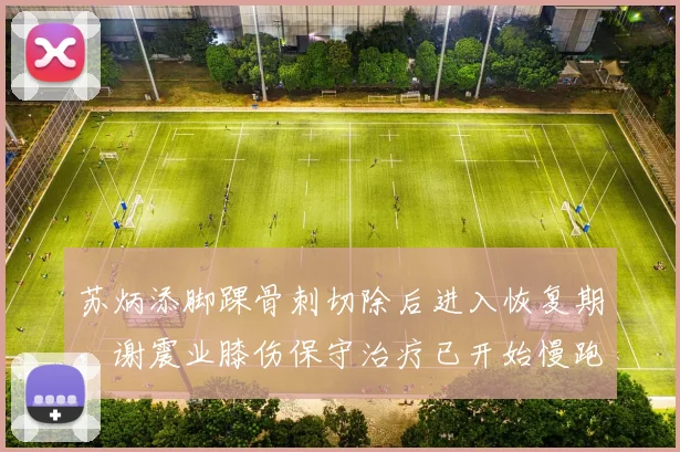苏炳添脚踝骨刺切除后进入恢复期，谢震业膝伤保守治疗已开始慢跑，中国短跑接力队复出计划迥异